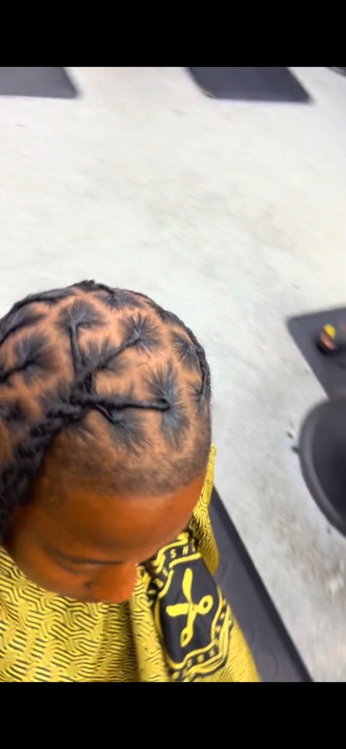 Long two-strand loc style
